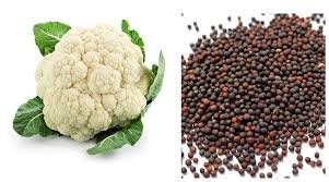 Cauliflower Seeds
